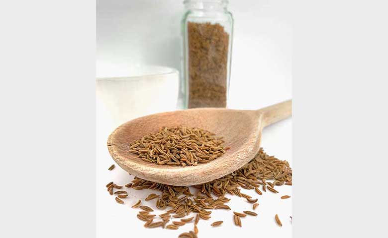Fennel Seeds