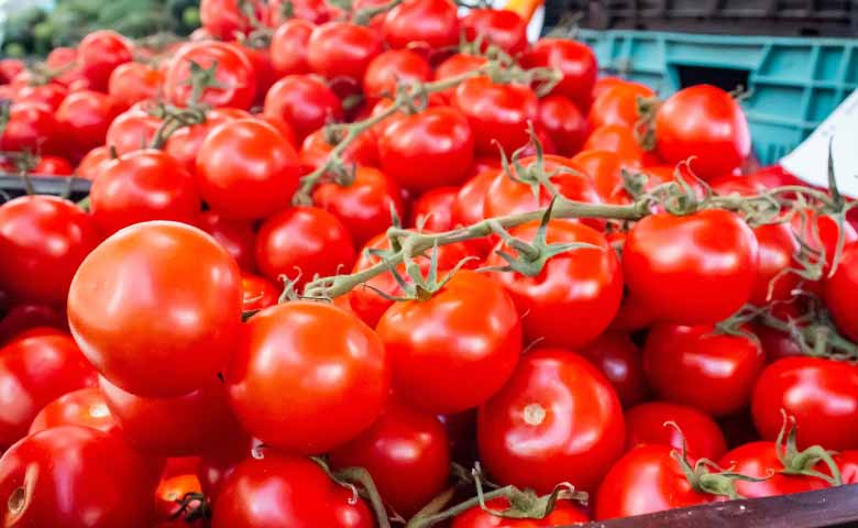 Tomato