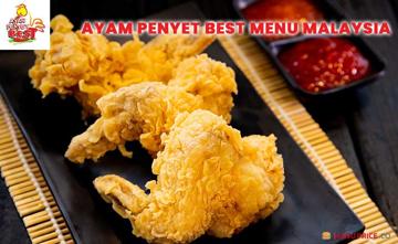 Ayam Penyet Best Menu Price Malaysia